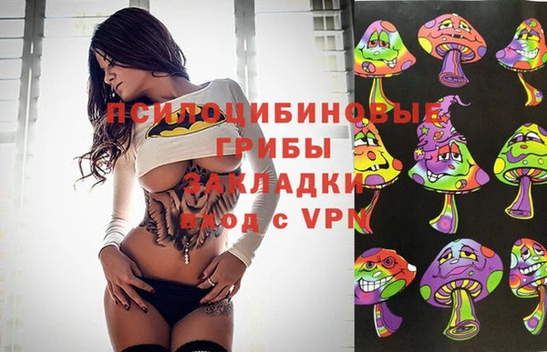 индика Бронницы