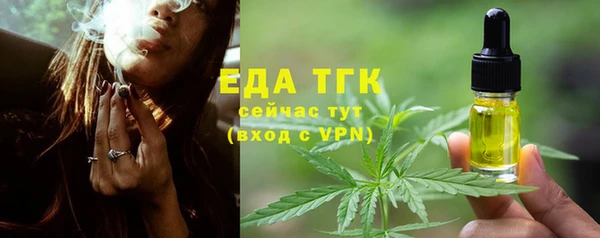 амф Бородино