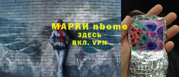 амф Бородино