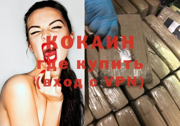 индика Бронницы