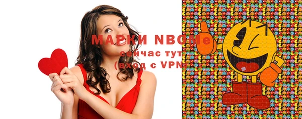 индика Бронницы