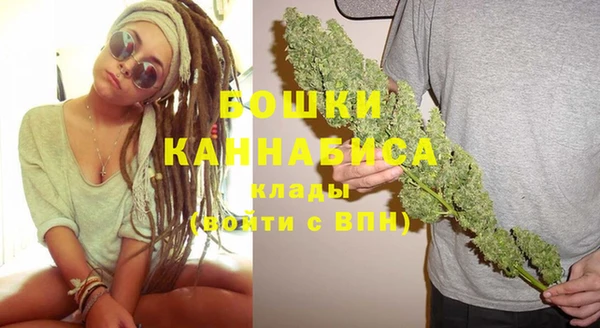 индика Бронницы