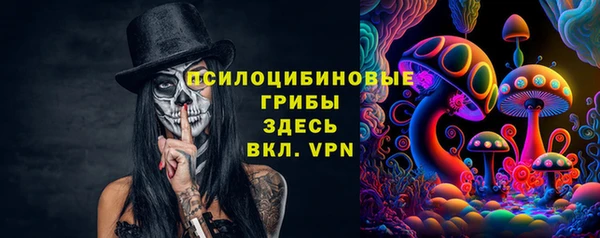 индика Бронницы
