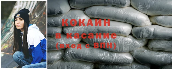 амф Бородино