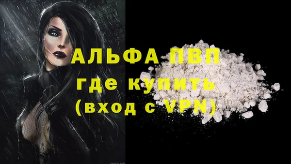 индика Бронницы